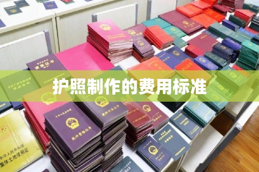 北海护照制作的费用标准